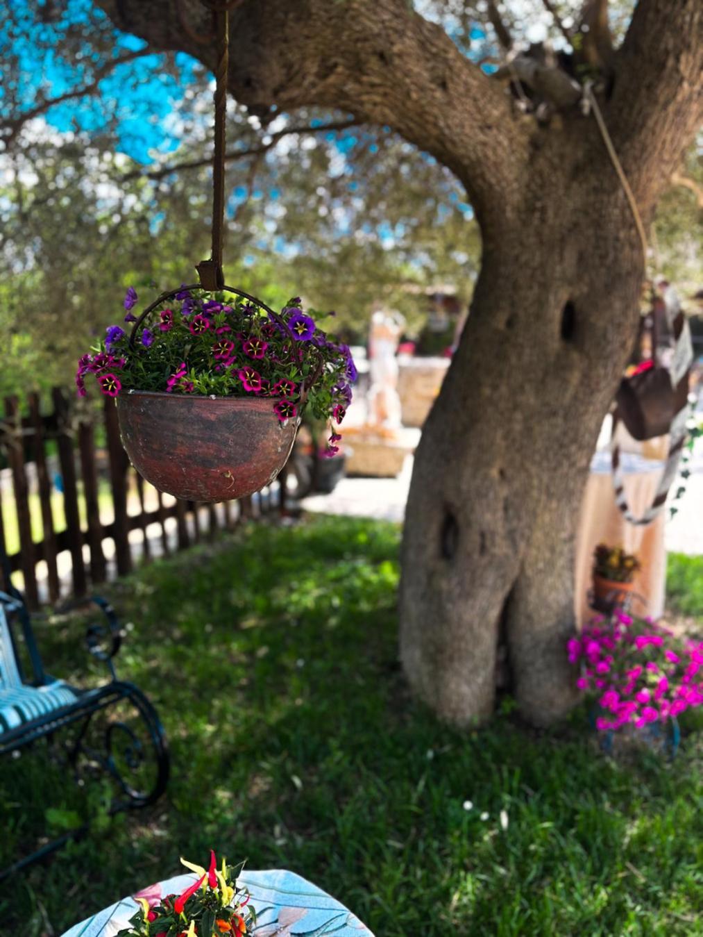 Agriturismo Le Faeta Arpino Exterior photo